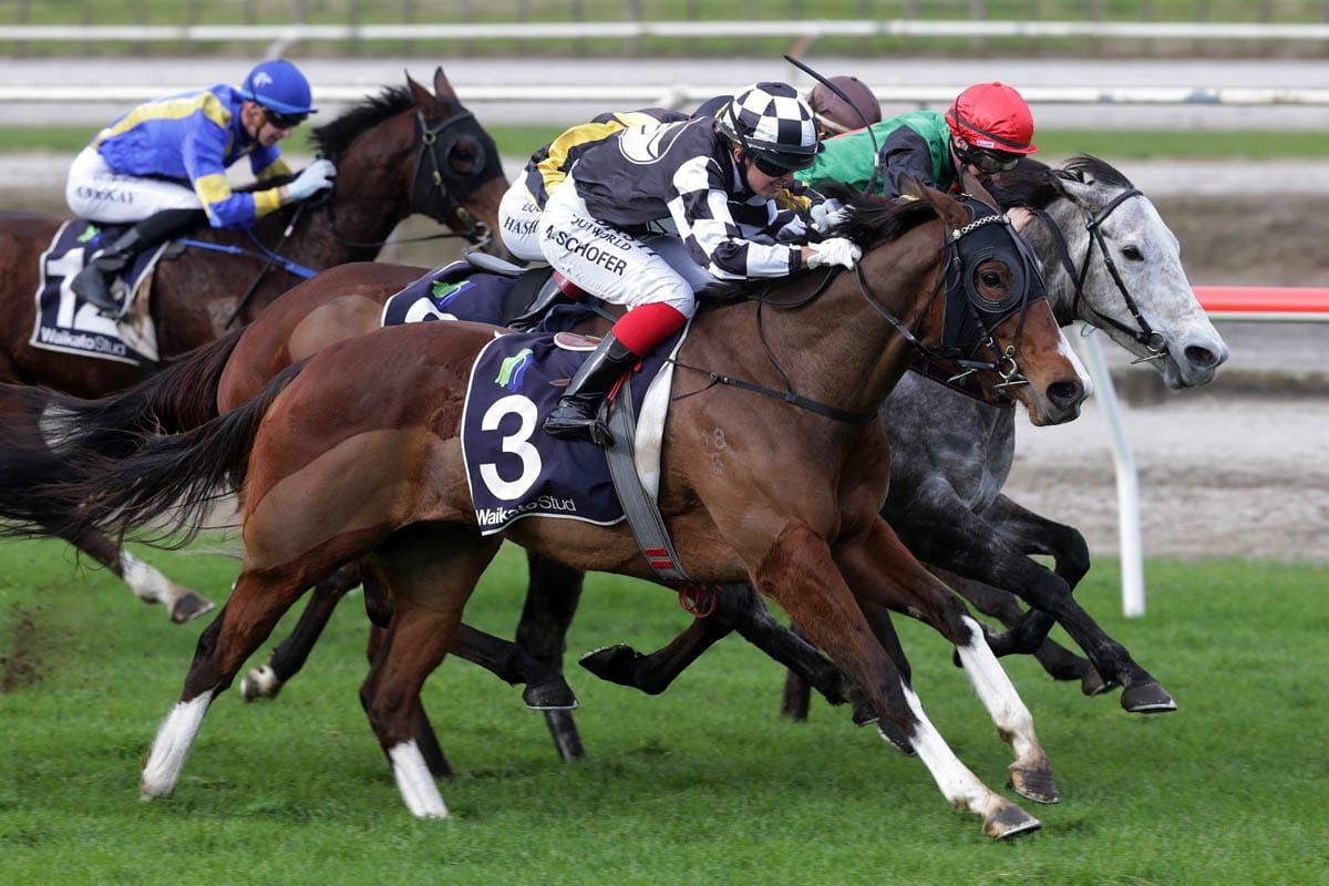 London Express back to winning form at Matamata
