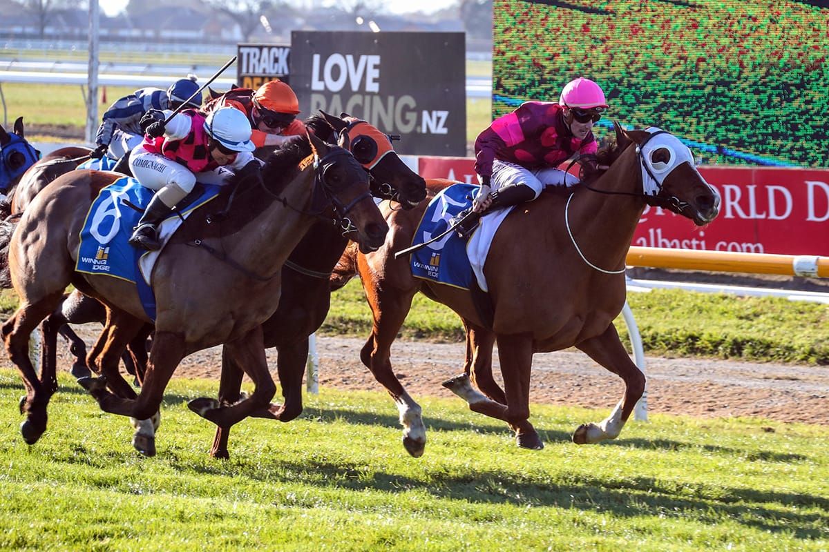 Major Tom takes out Riccarton feature