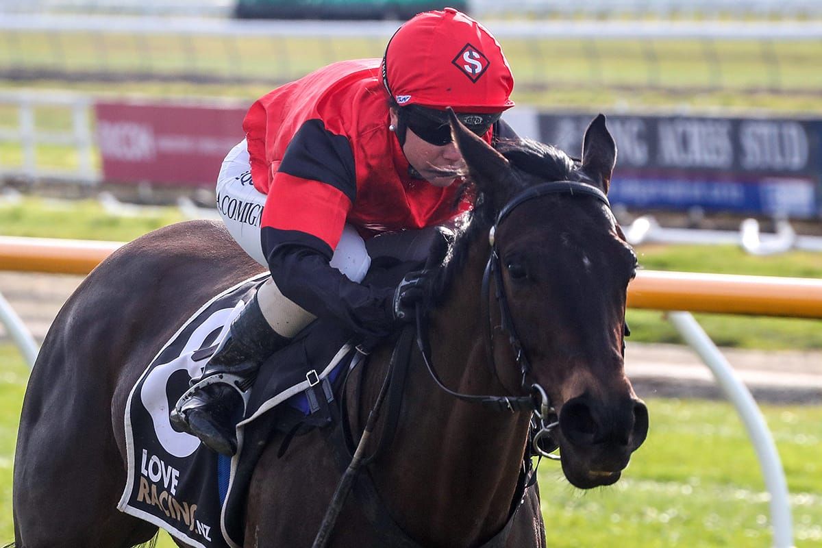 Deal reached for talented filly Matchmaker