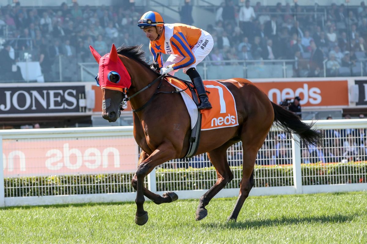 Time called on Sydney campaign for Melody Belle