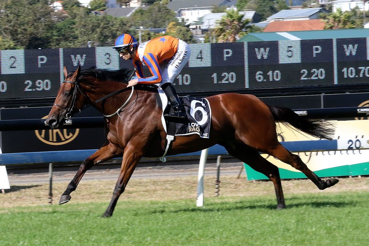 Belle to trial at Rotorua