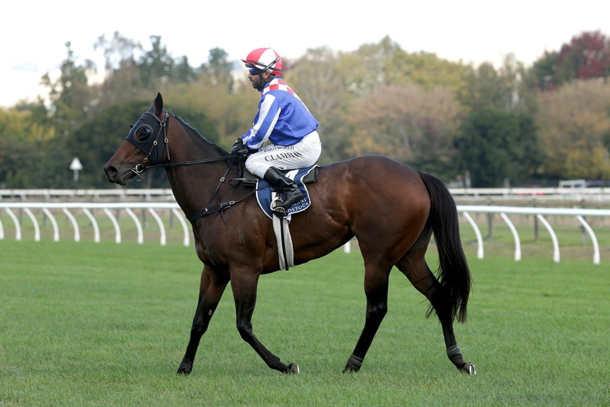 Princess Kereru ready for Foxbridge Plate