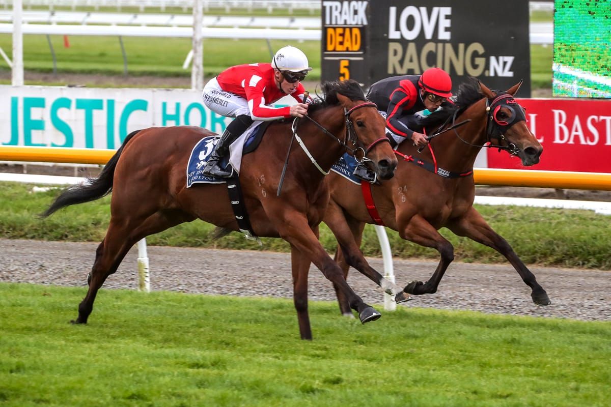 Savvy Lad primed for Flemington target