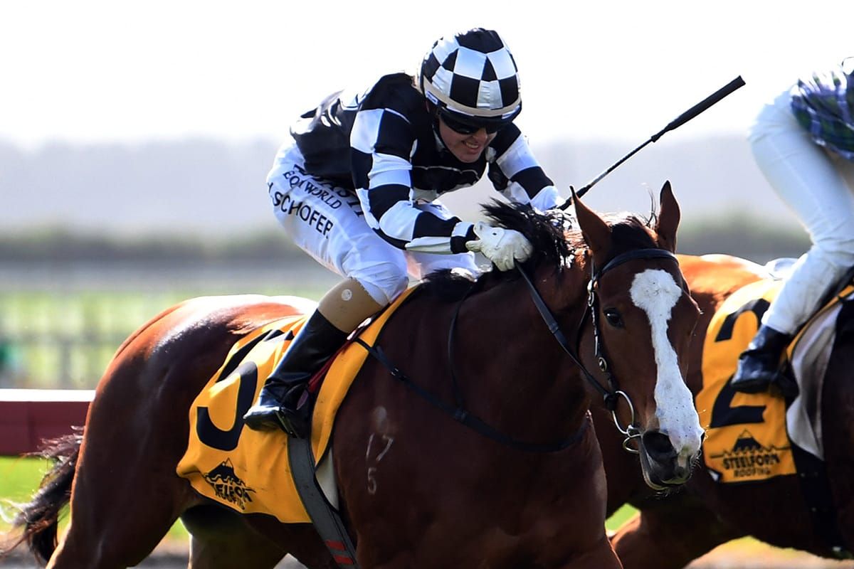 Schofer still coming to terms with amazing feat