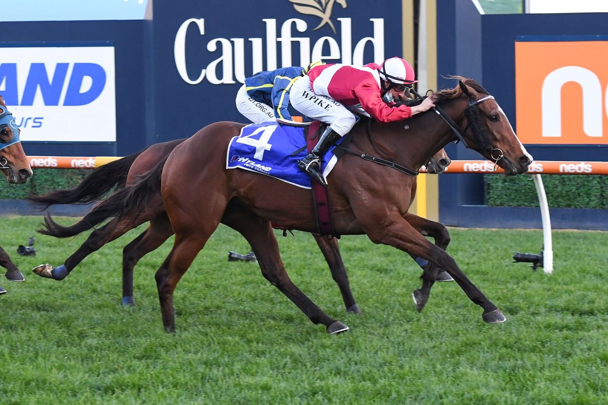 Showmanship scores at Caulfield
