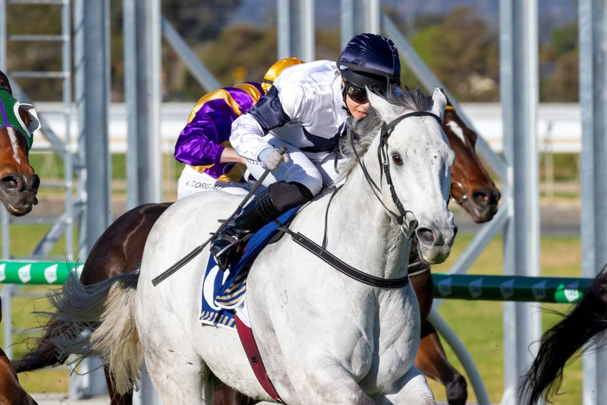 Sky Punch scores stakes win