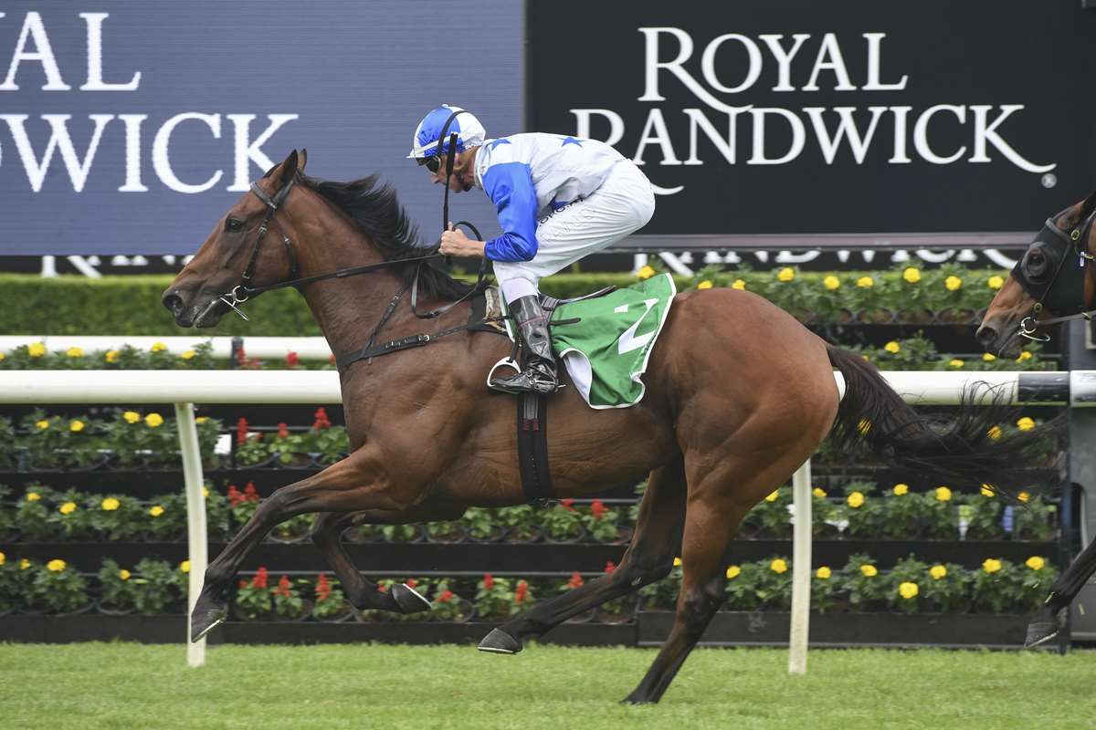 Jay Ford grabs Group One chance on The Bostonian