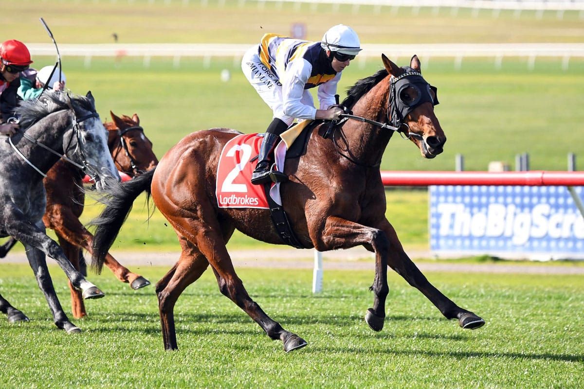 Tigre Royale makes it four in a row