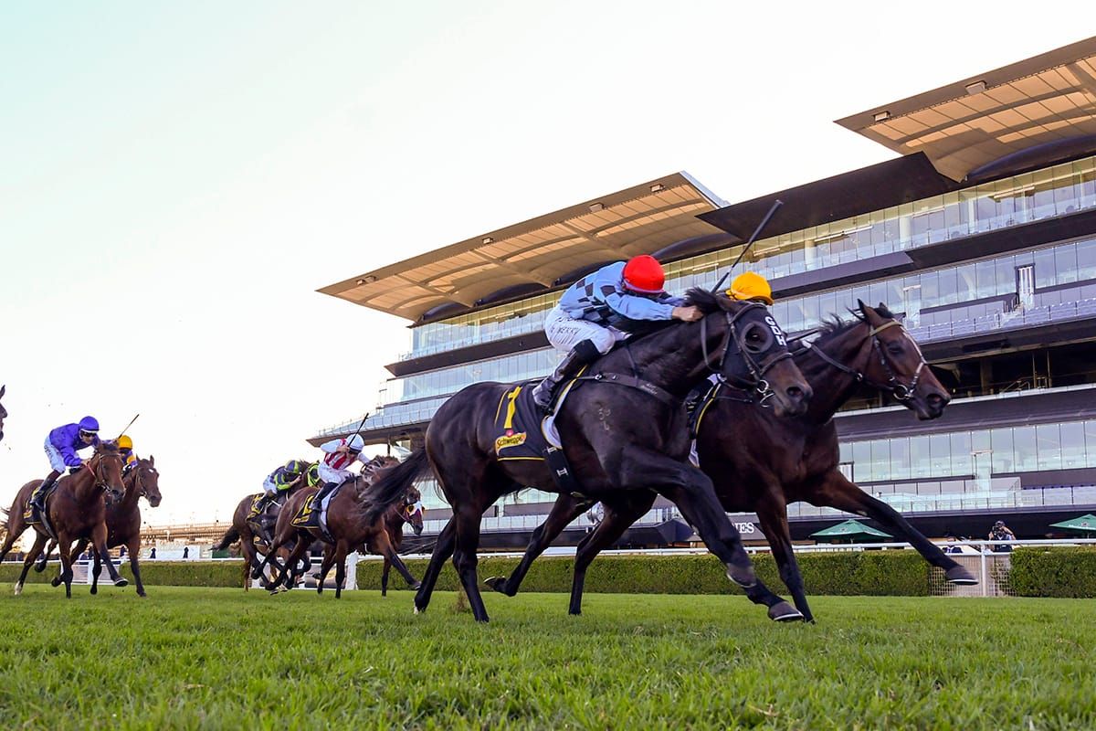 Racing NSW opens border to some Vic horses