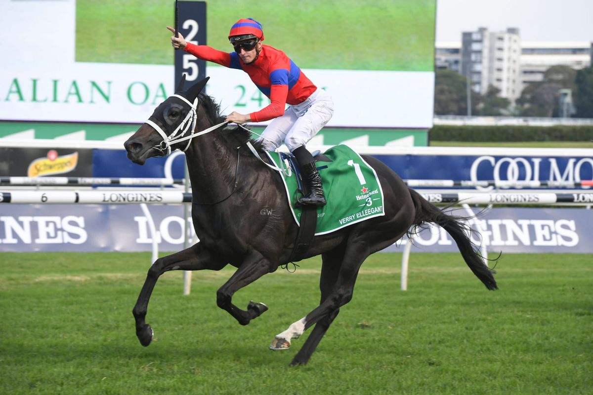 Verry exciting spring instore for talented mare