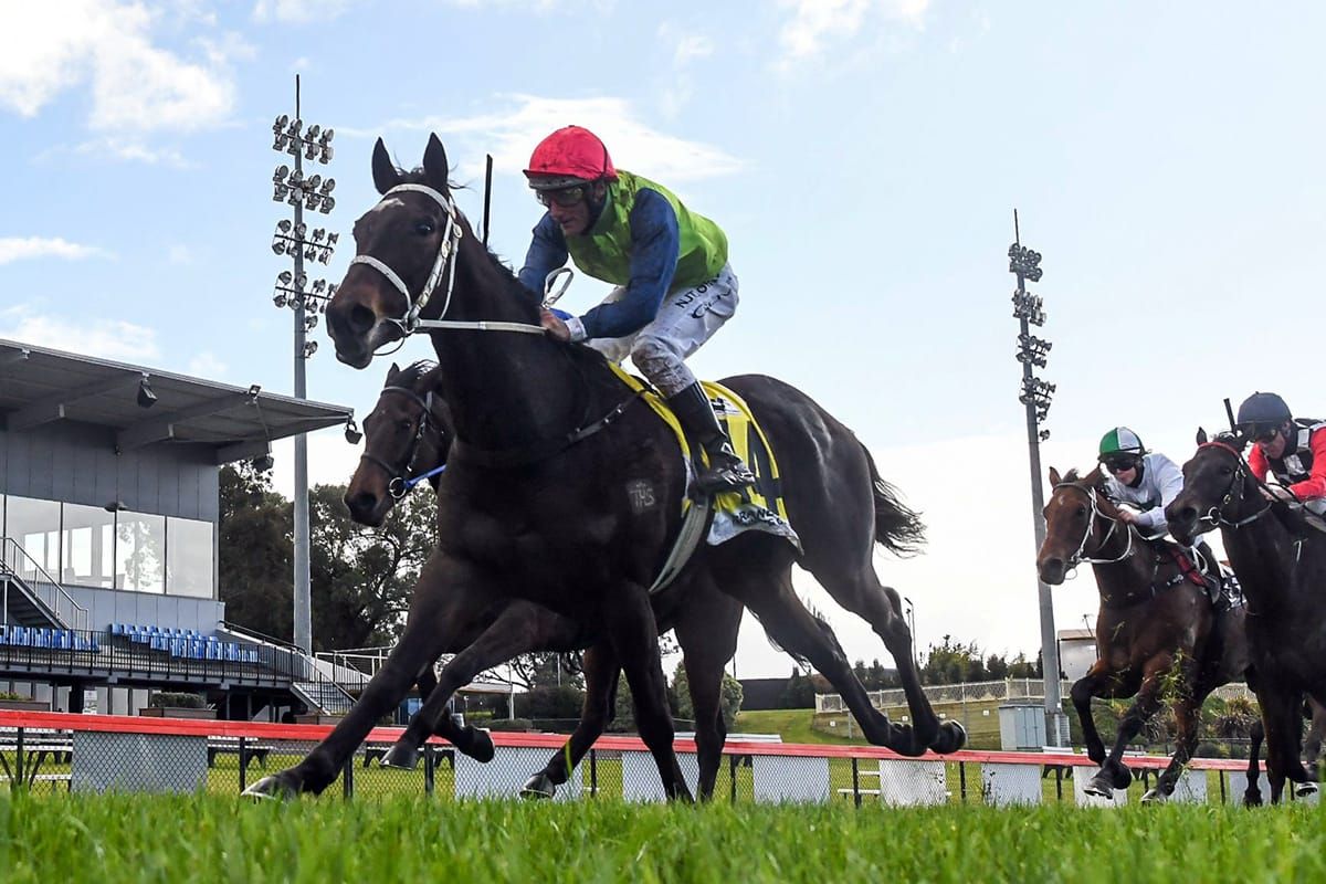 Busuttin's Derby contenders go on trial