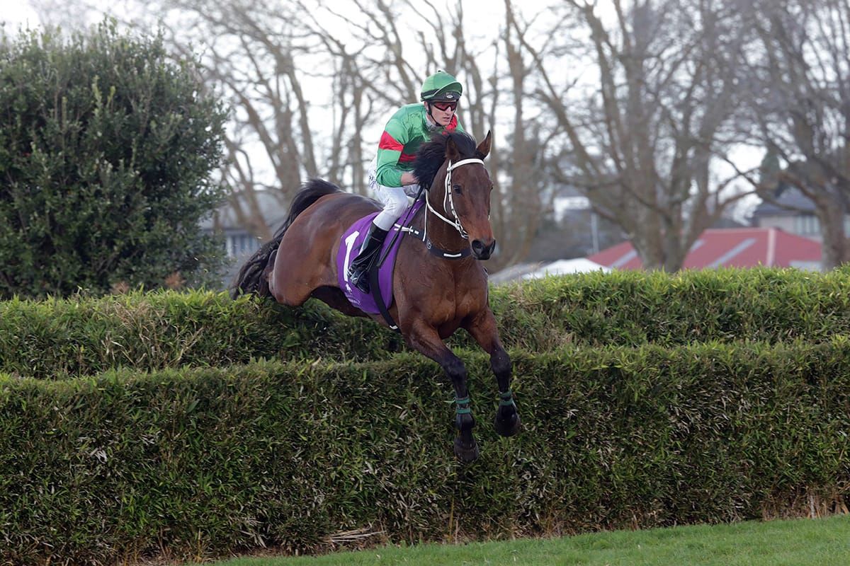 Great Northern aspirations with Wise Men Say