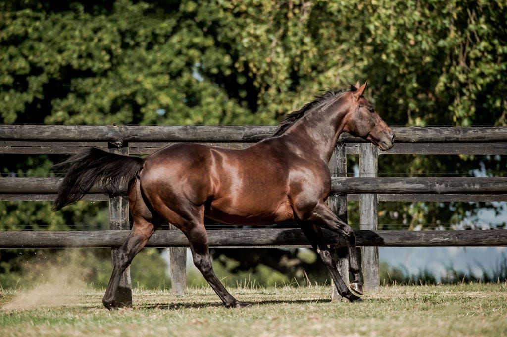 Book full for Ocean Park