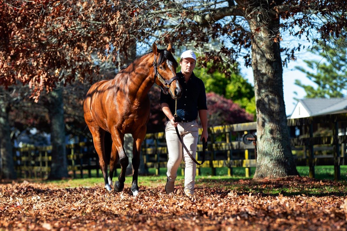 Wyndspelle on parade