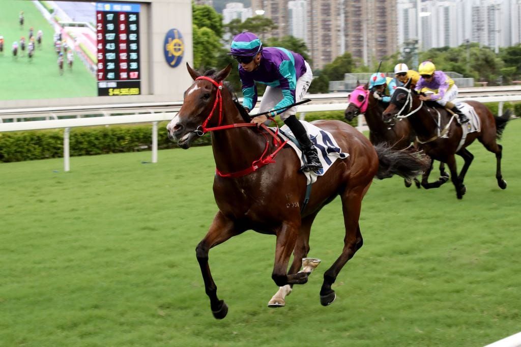 Lor hopes Winning Dreamer can demonstrate Group 1 potential