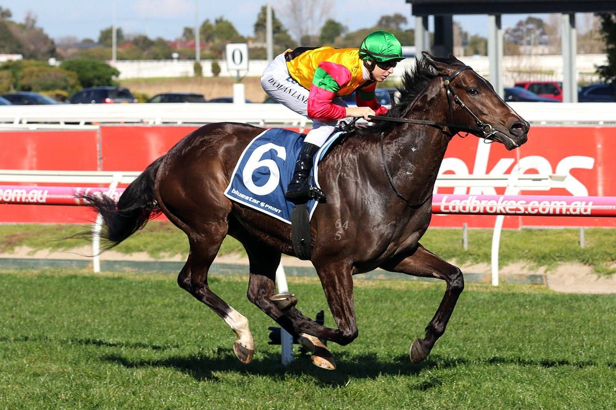 Age Of Chivalry out for redemption