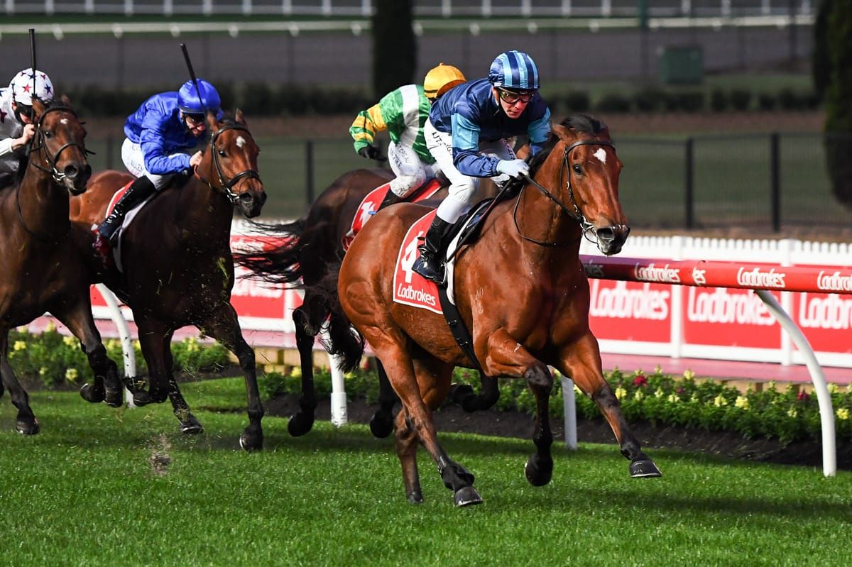 Alfa Oro returns a winner