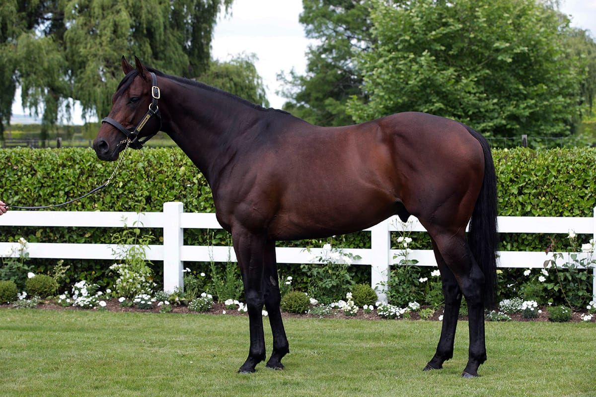 Book full for Almanzor