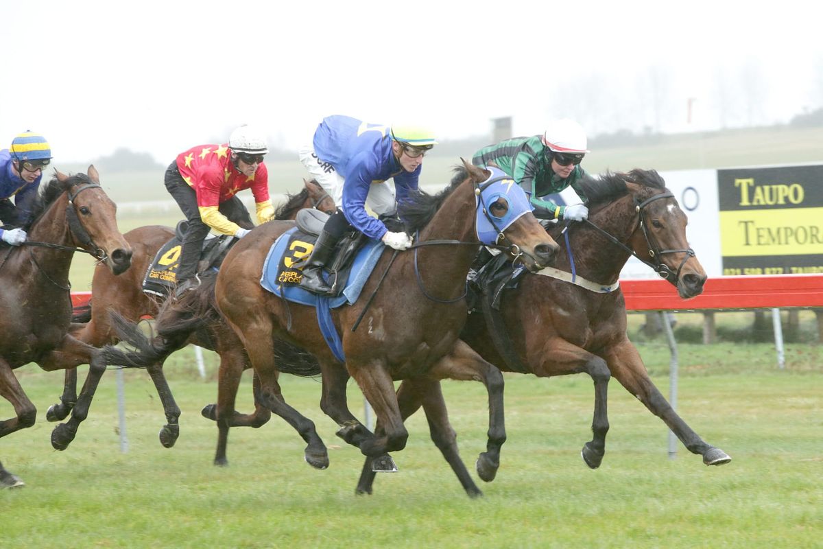 Broodmare paddock beckons Aretha