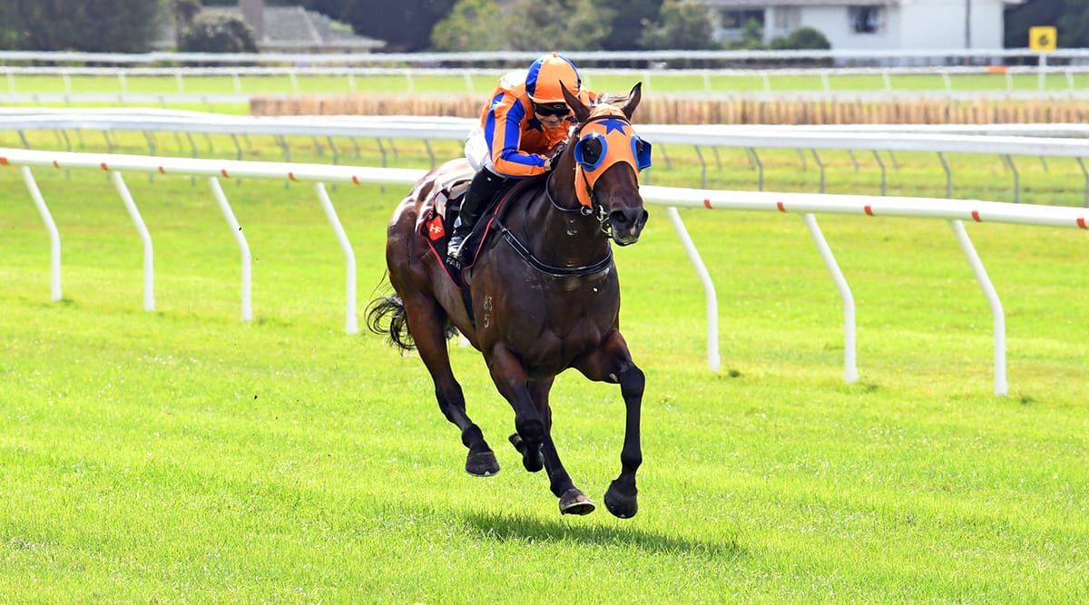 Johnson reunites with Avantage in Foxbridge