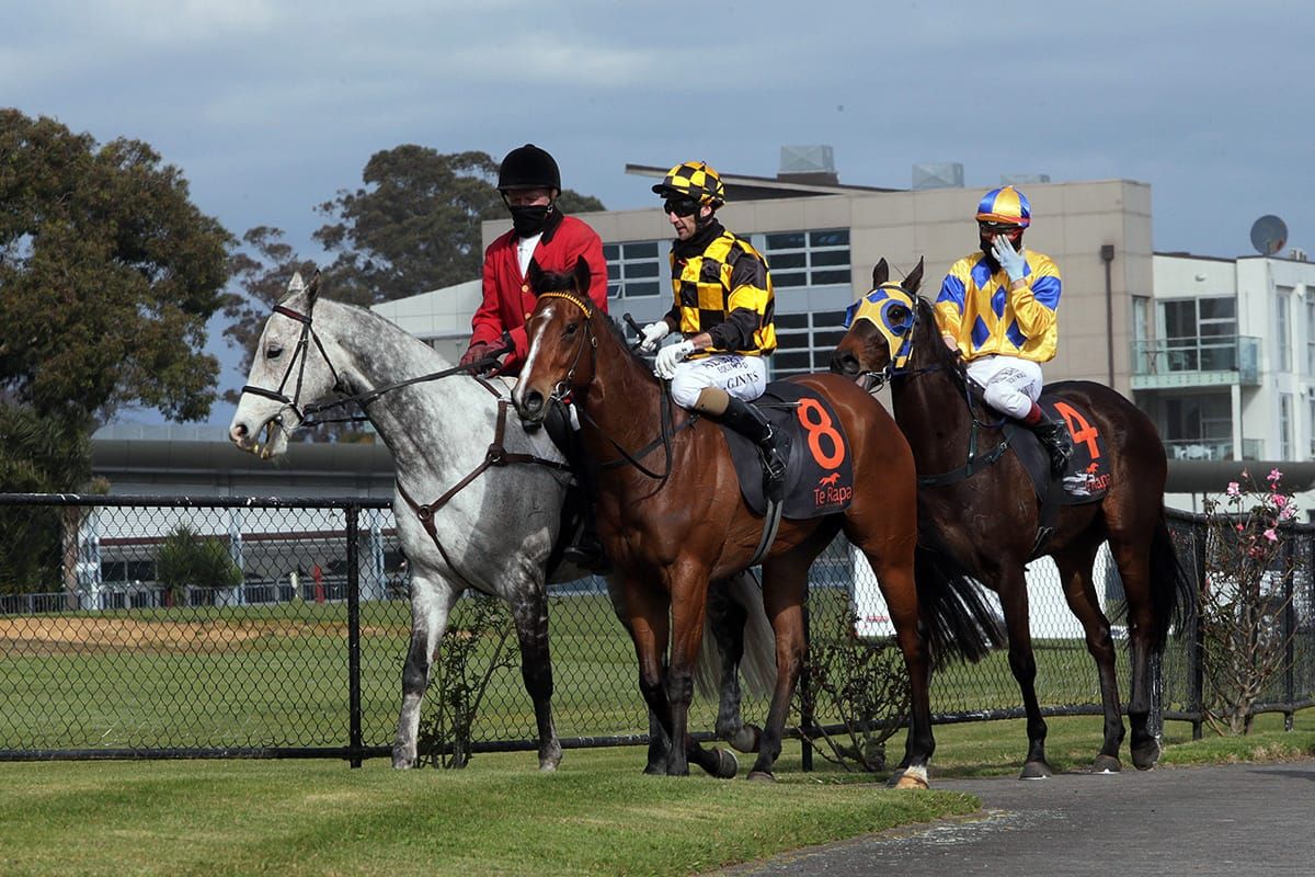 Noble in winner’s circle after lengthy absence