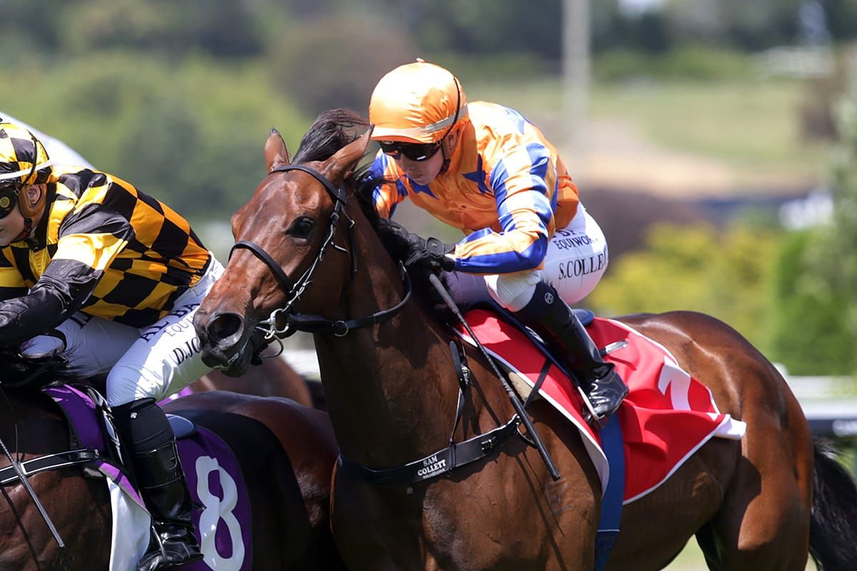 Te Akau team targets Timaru