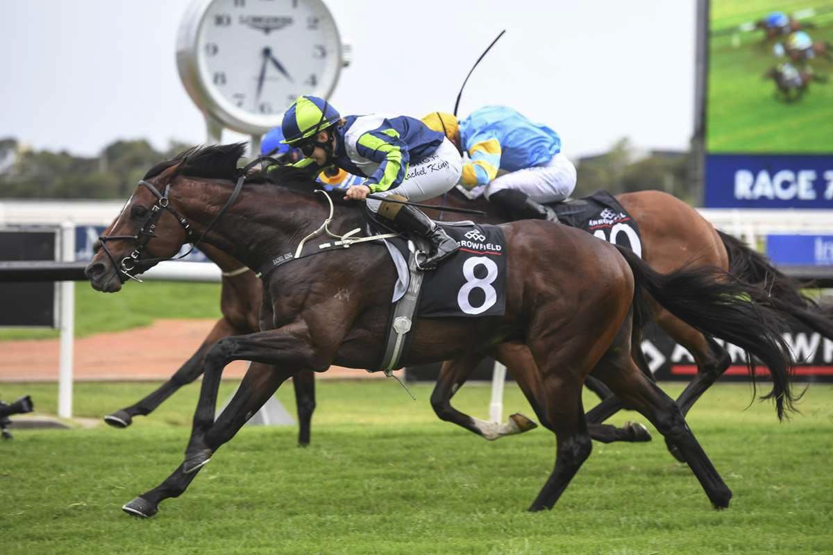 Plum draw for Brandenburg