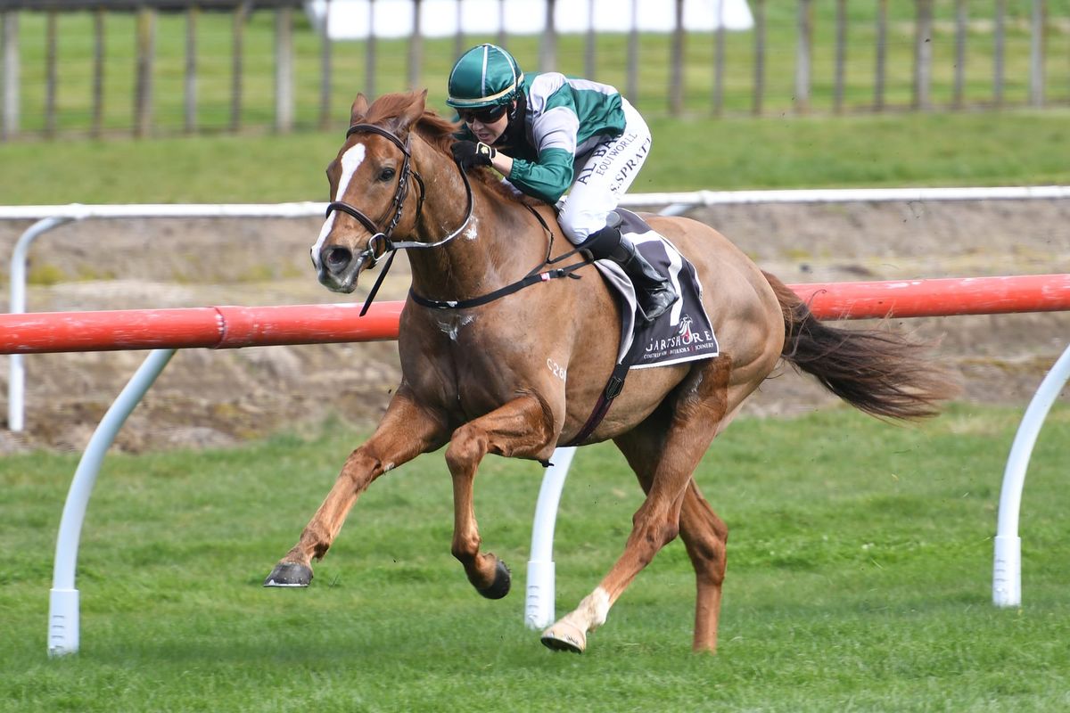 Hong Kong proving lucrative for Cameron