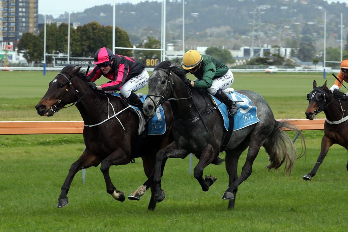 Another string to Sims’ bow