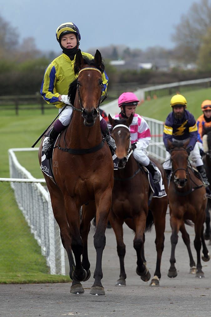 Strong win by El Roca filly