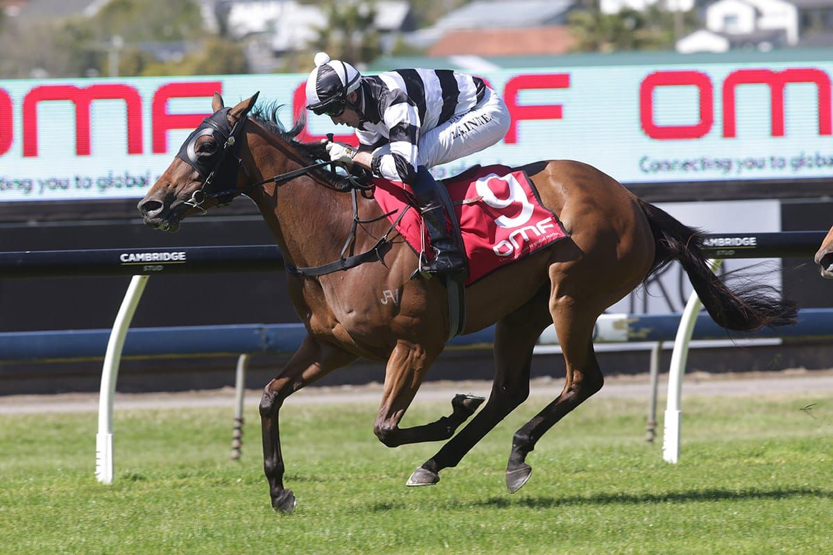 Last hurrah for Fiscal Fantasy