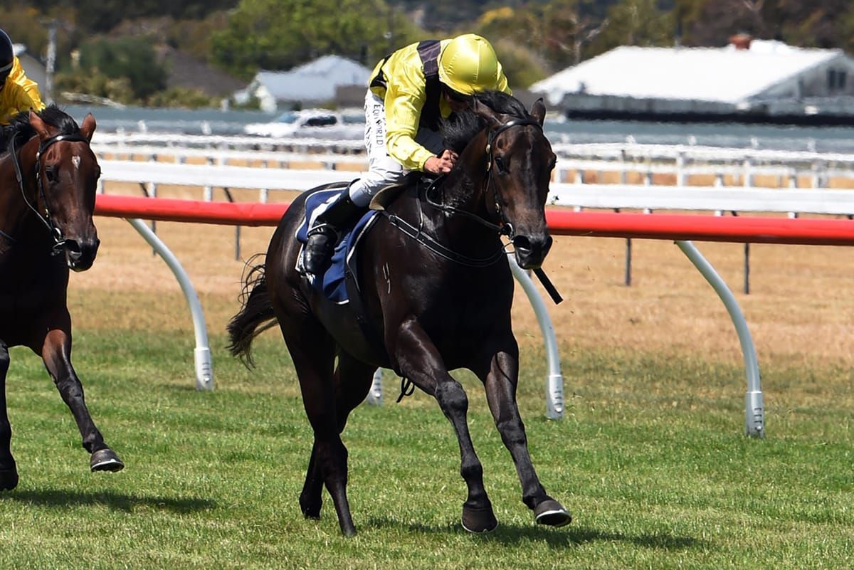 Wiles' warriors set for battle