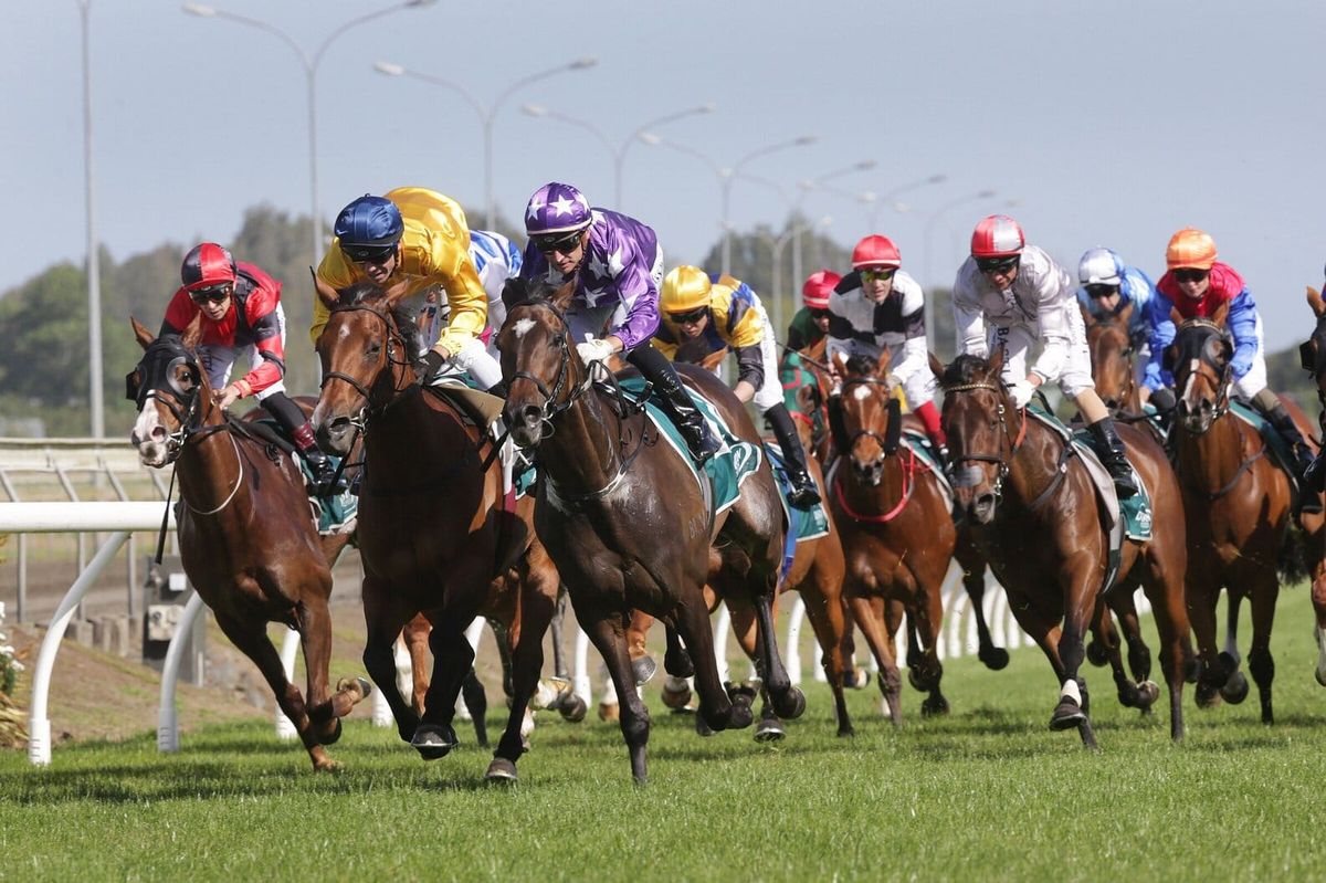 Ready to Run Sale trainers series schedule announced