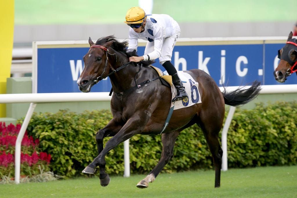 December bound Golden Sixty takes the Celebration Cup