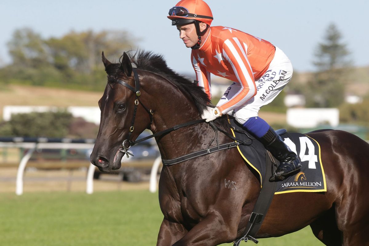 Williams stable to test Cup week prospects