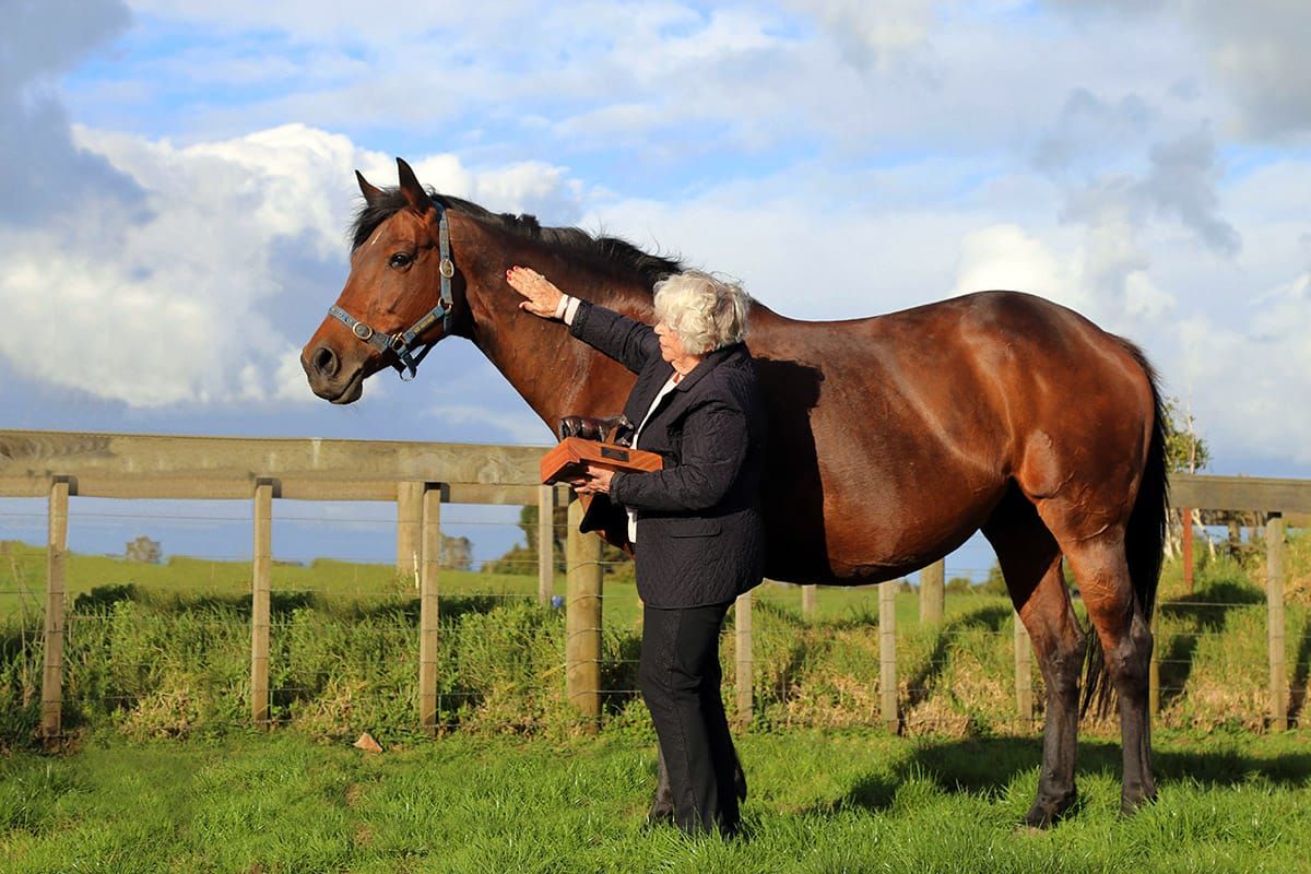 Meleka Belle crowned New Zealand Broodmare of the Year