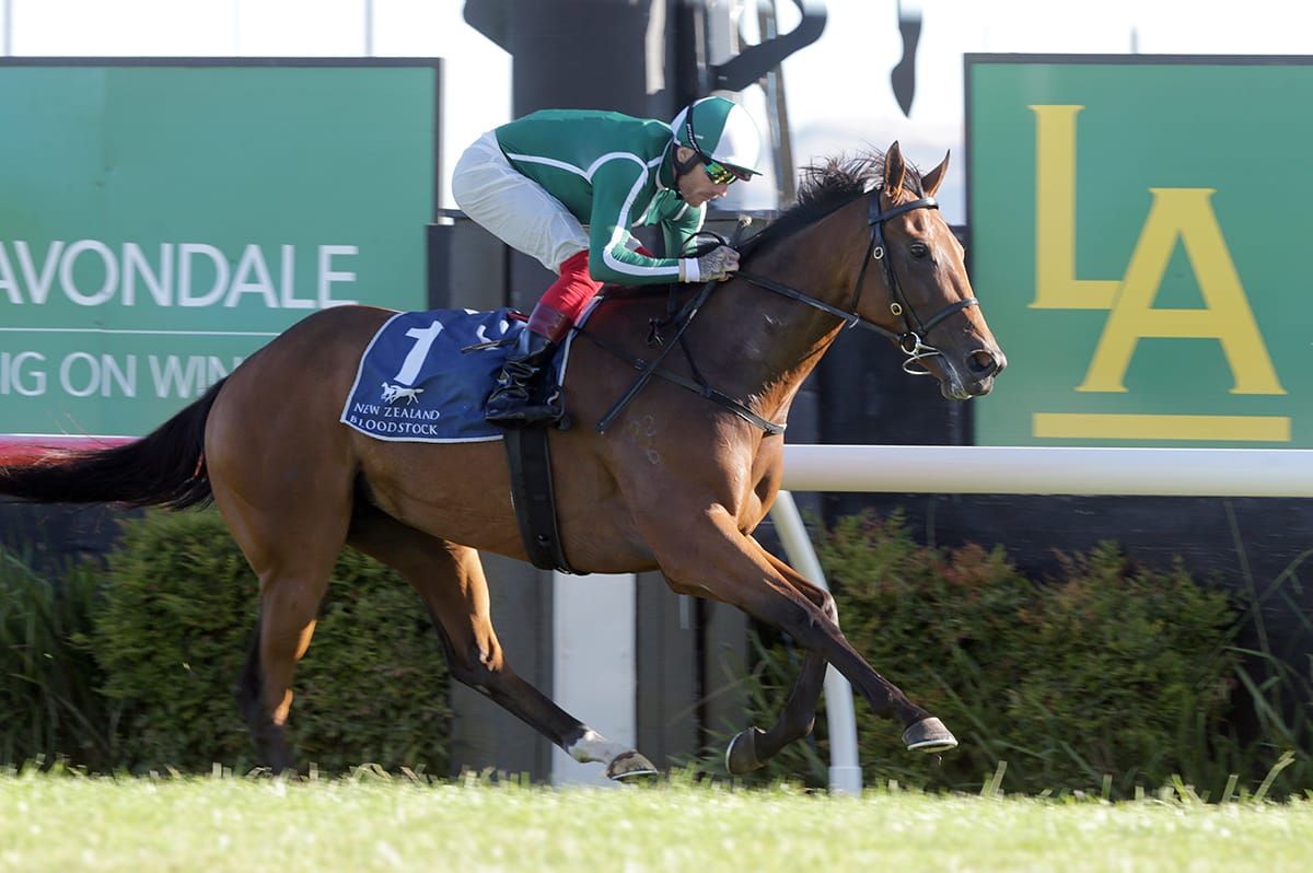 New hoop for Jennifer Eccles