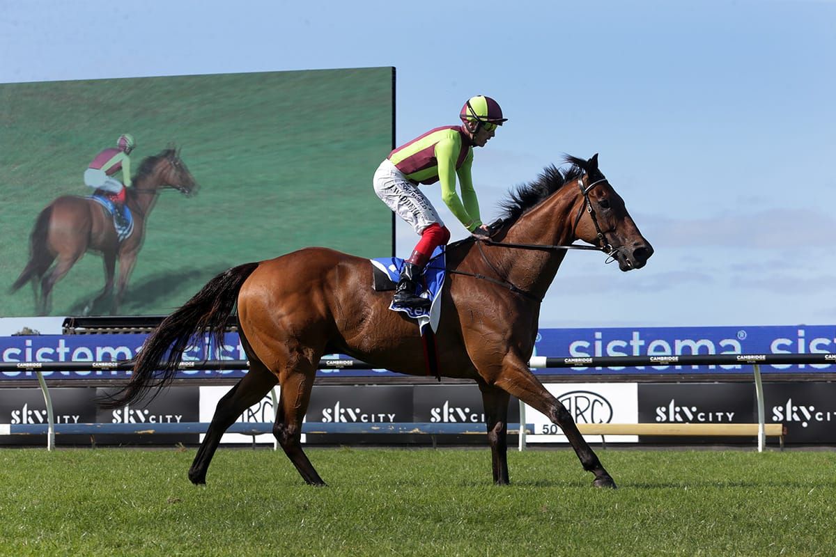 Julius doubtful for Tarzino