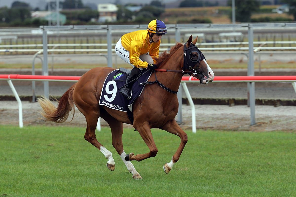 Kelly Renee searching for maiden victory