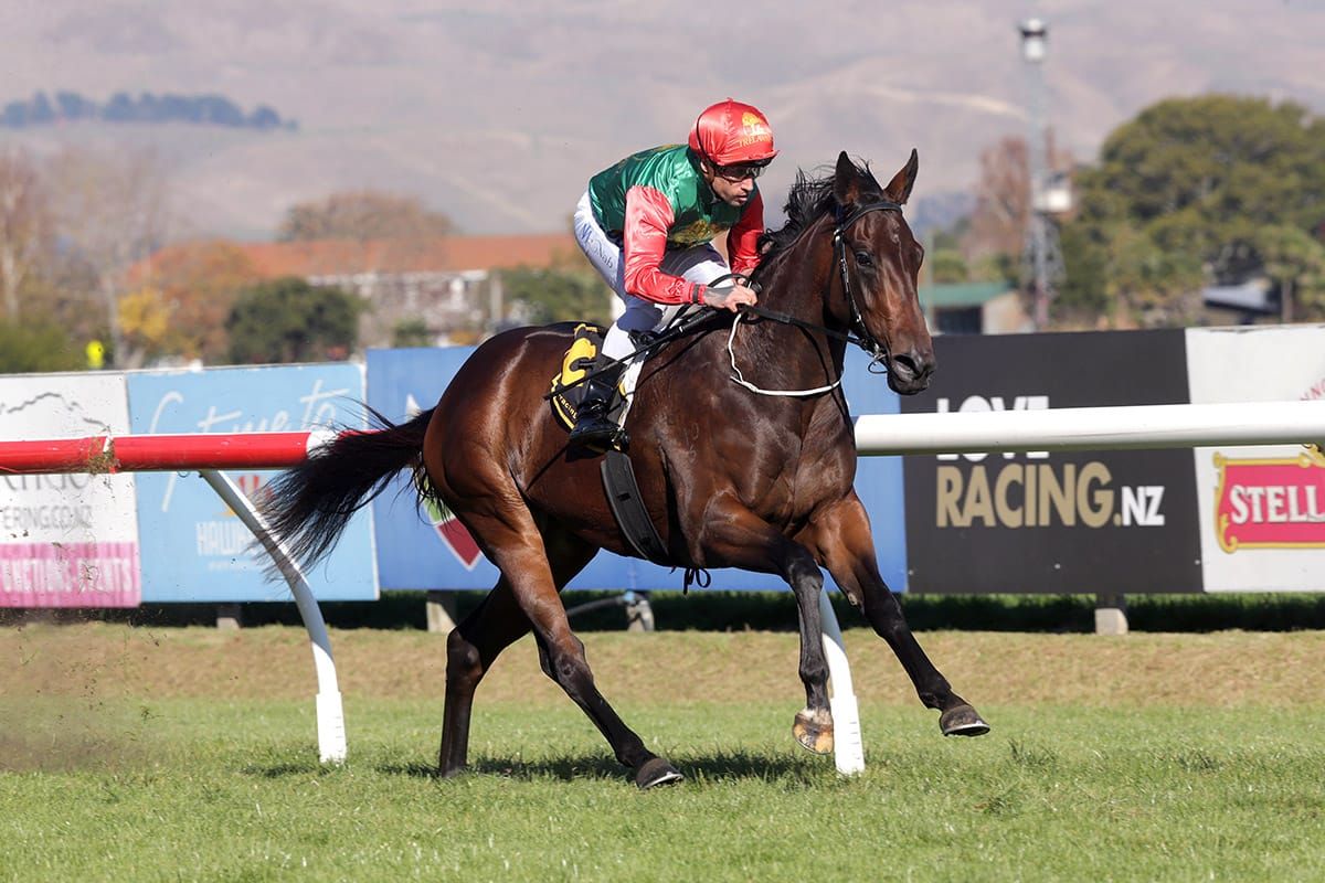Pike well-armed on “transition day” at Hastings