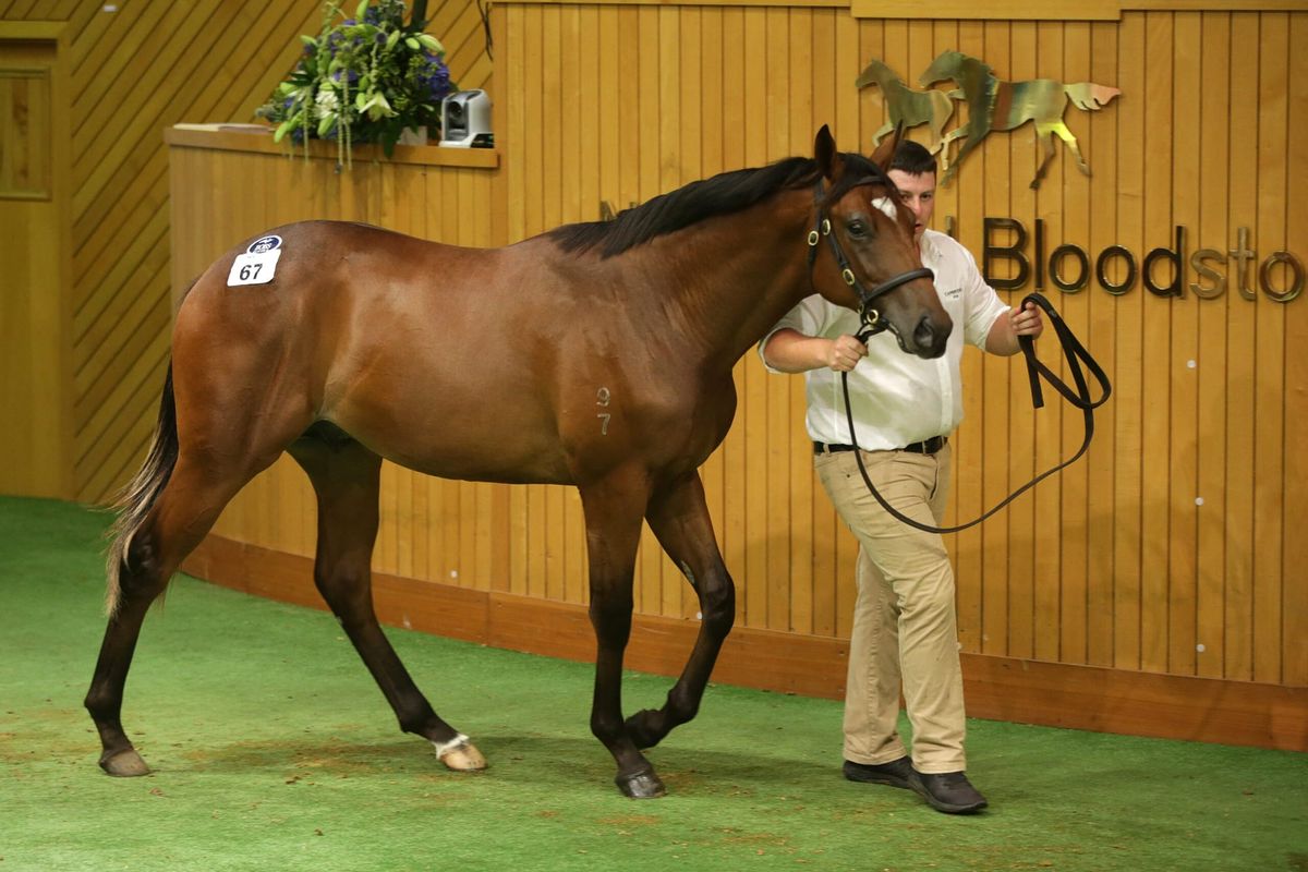 Cadenabbia breaks through in Sydney