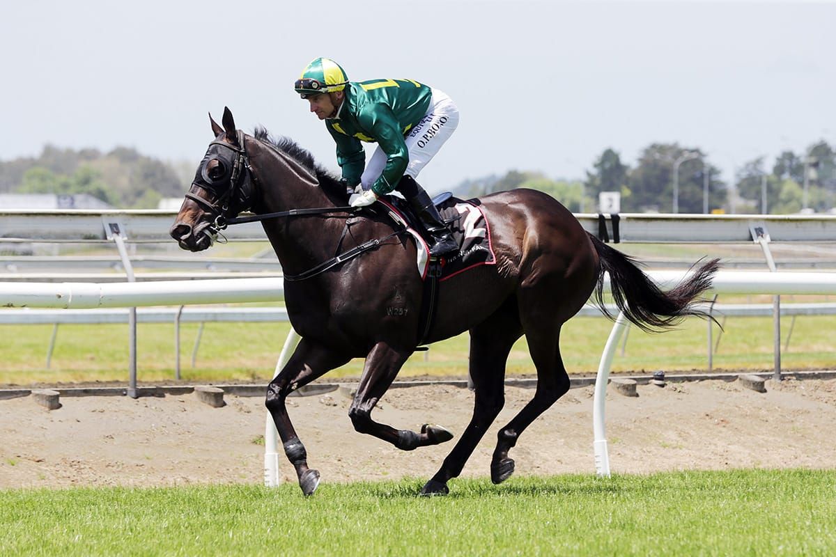 Last hurrah for Magnum