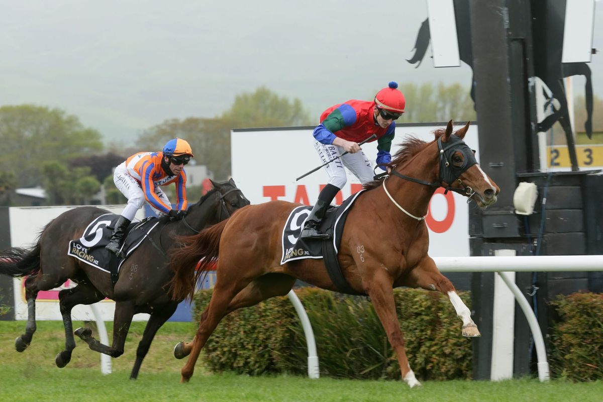 Short-Course options for Mascarpone