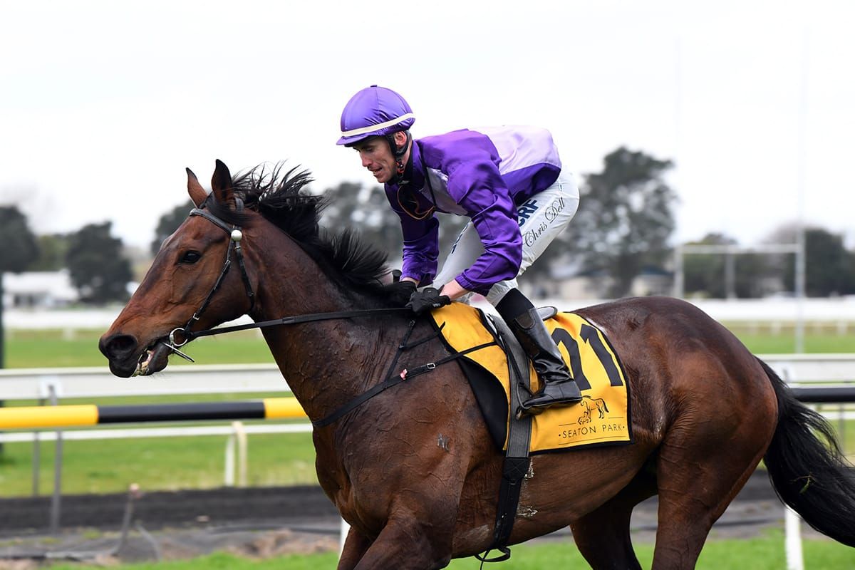 Upset in Jericho Cup qualifier