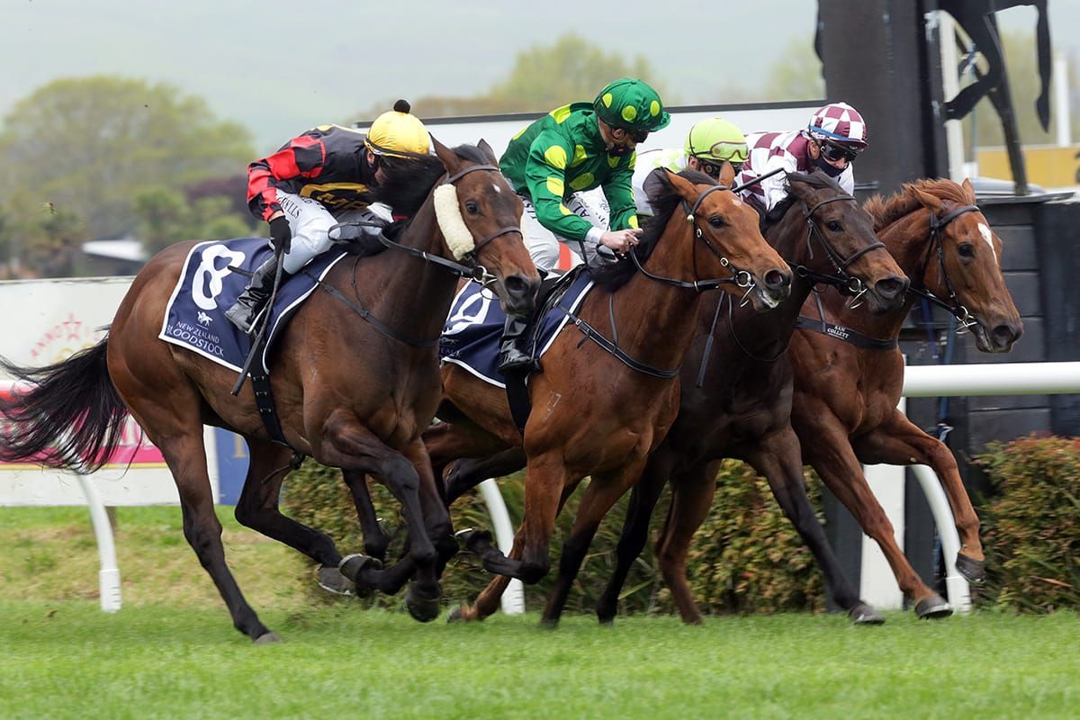Rider a happy man after dual stakes success at Hastings