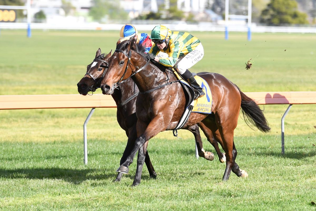 Collett bullish with weekend prospects