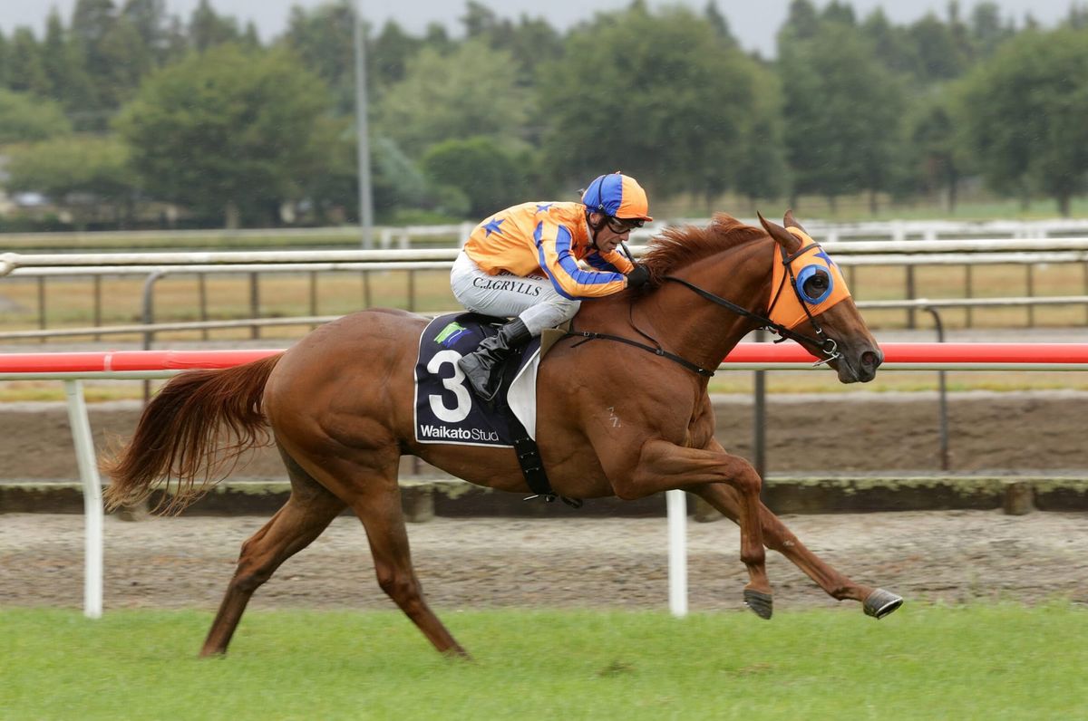 Blinkers to help Richards duo on raceday