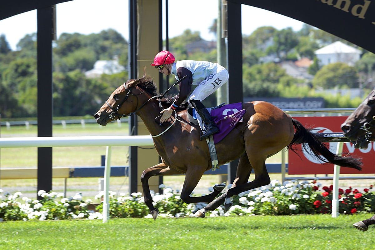 Savvy Racing gears up for landmark day
