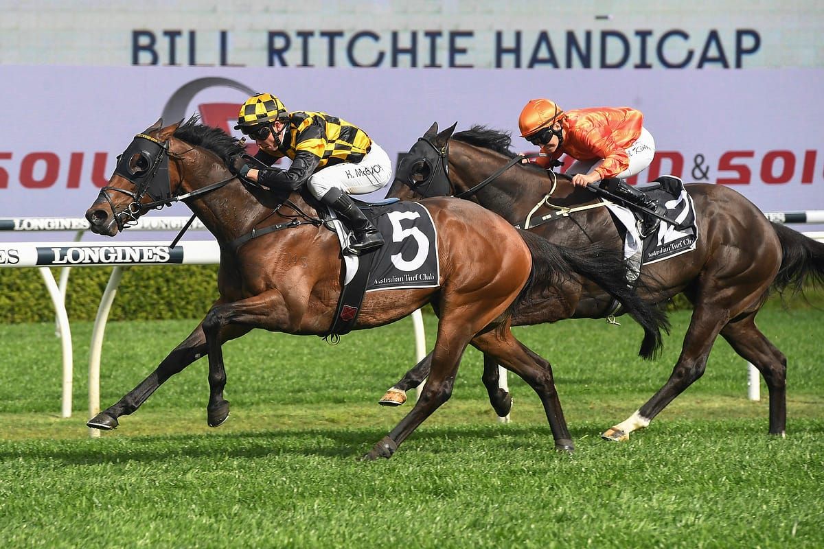 Another bumper Saturday for Te Akau