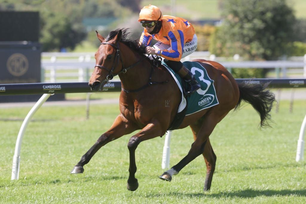 Te Akau Racing take first two-year-old race this season